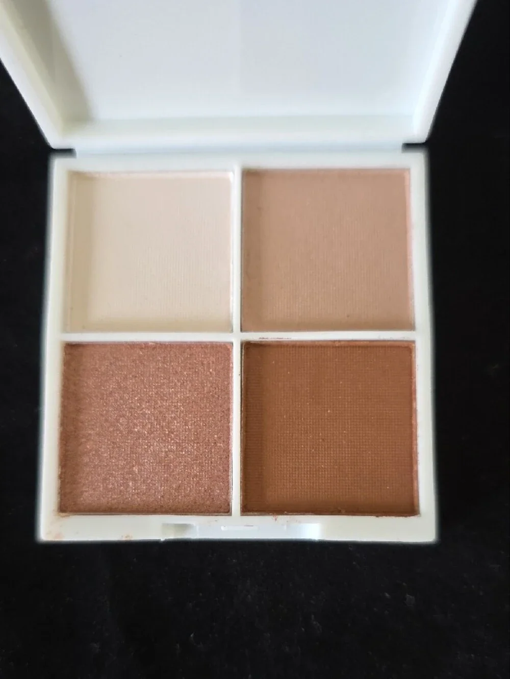 ORYZA Beauty Precious Platinum Shimmer Eyeshadow - Platinum Palette